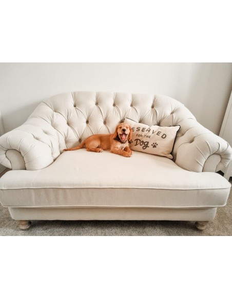 Dekoratyvinė pagalvė su užrašu ant sofos patiks Jūsų šuniui